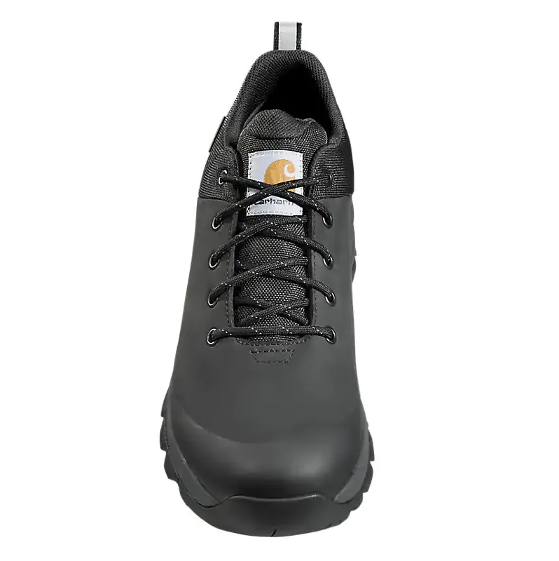Men's Waterproof Low Hiker Shoe FH3021
