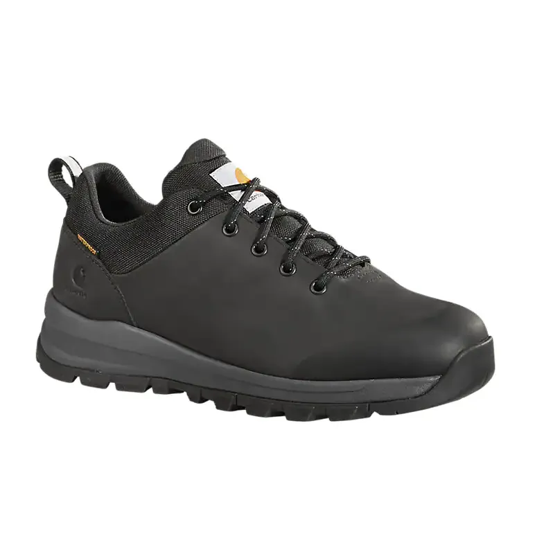 Men's Waterproof Low Hiker Shoe FH3021