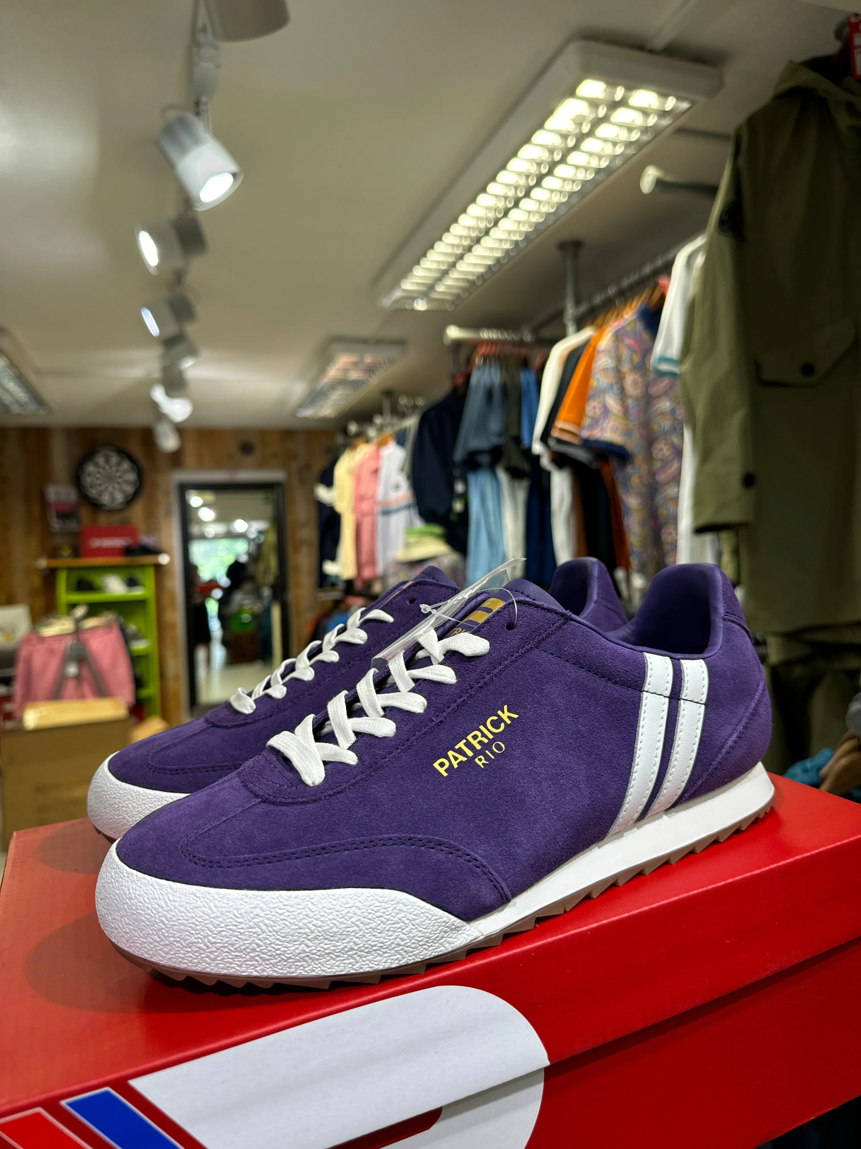 Patrick Rio Suede Trainers - Purple - LIMITED EDITION COLOUR