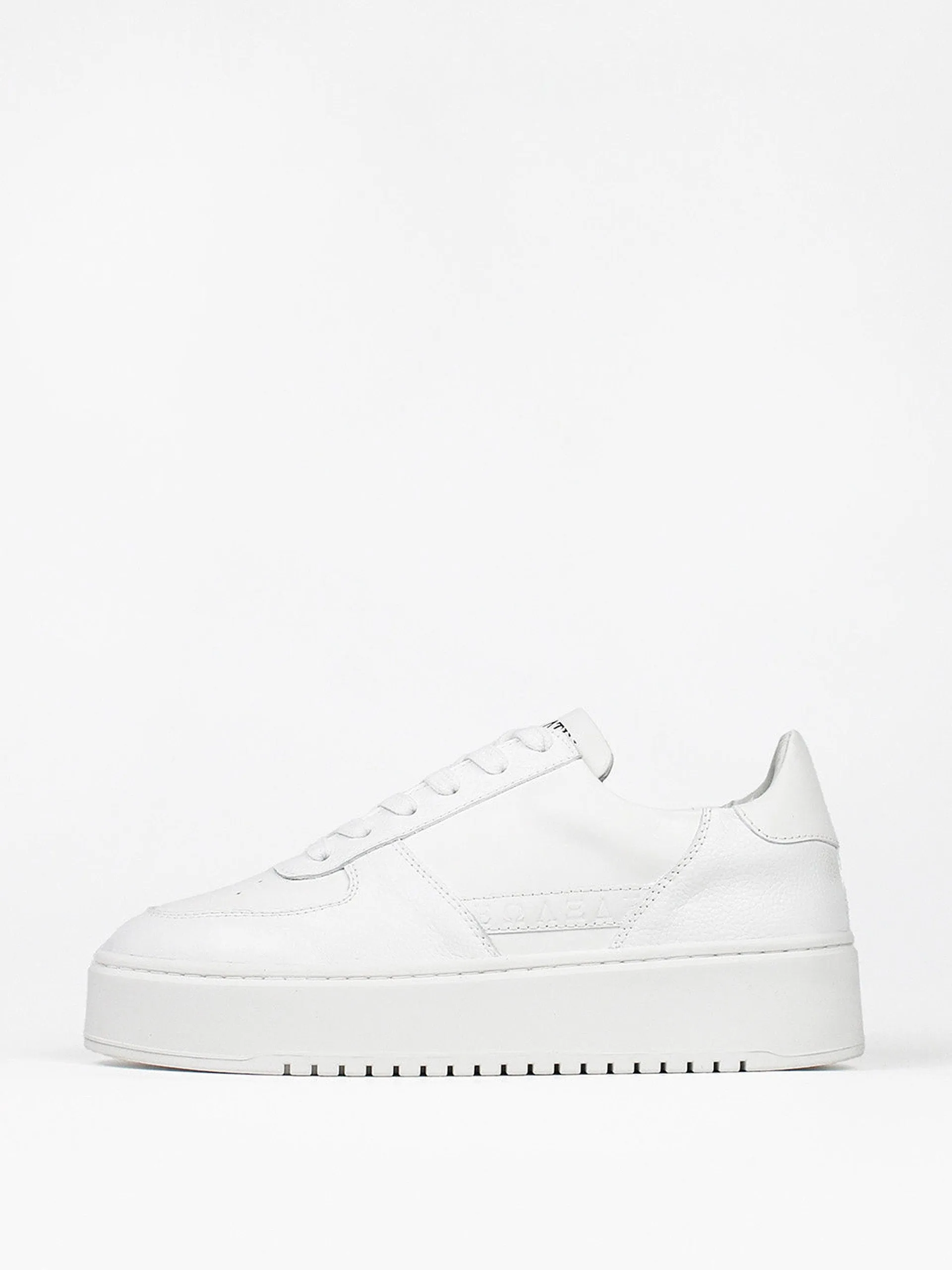 The Ludo trainers