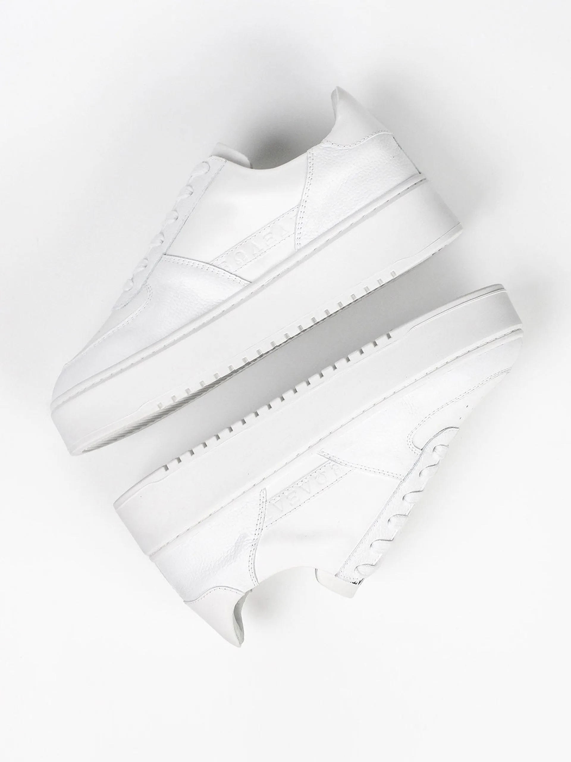 The Ludo trainers