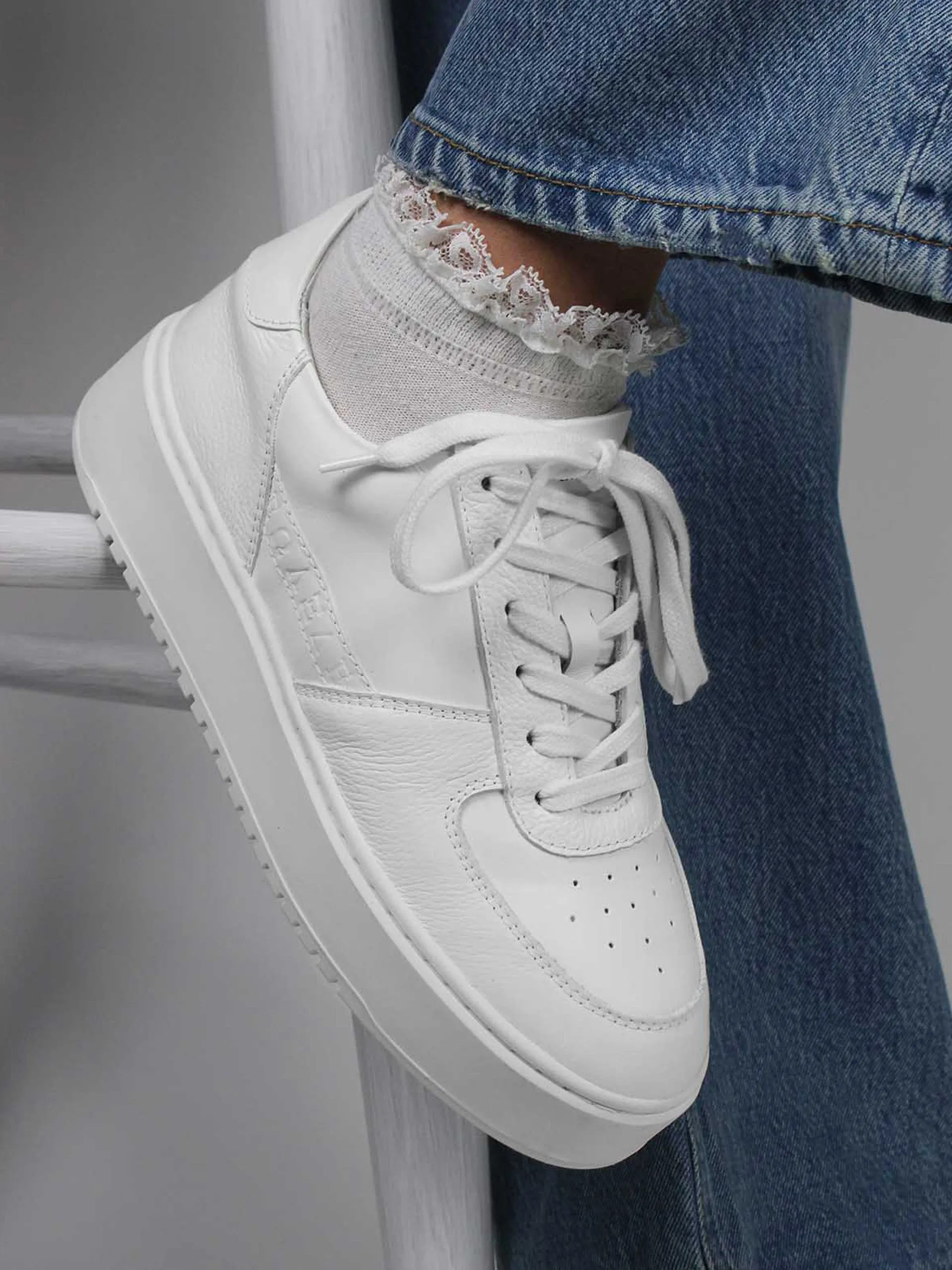 The Ludo trainers