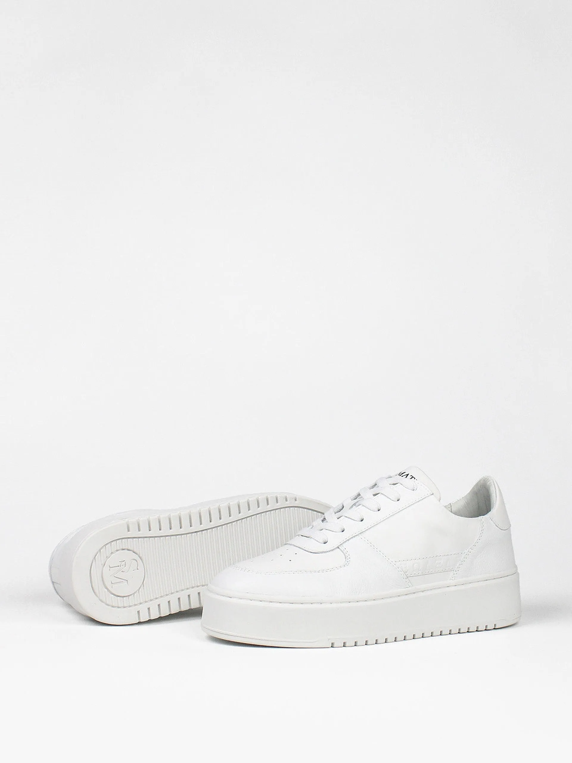 The Ludo trainers