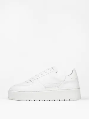 The Ludo trainers